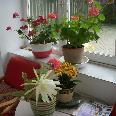 Garden Szivarvany Utca 39 Superior Vendeghaz Gasthuis Szeged