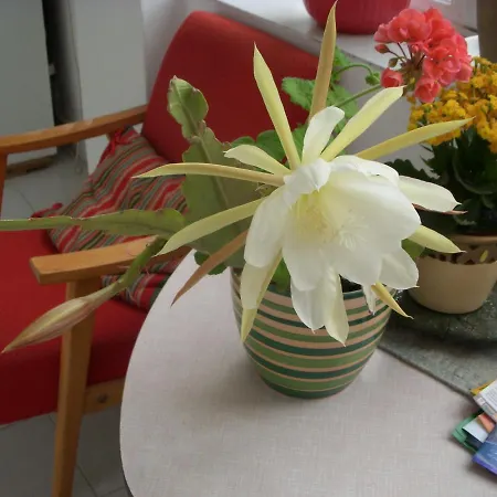 Garden Szivarvany Utcai Vendeghaz Guest house 3*