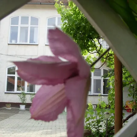 Garden 39 Casa de hóspedes 3*